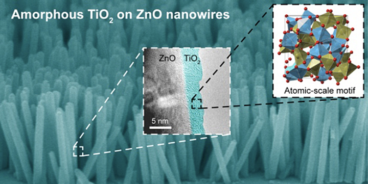 scanning electron microscope image of the titania-coated nanowires