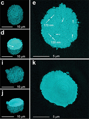 reconstructions of single particles of the NMC cathode material