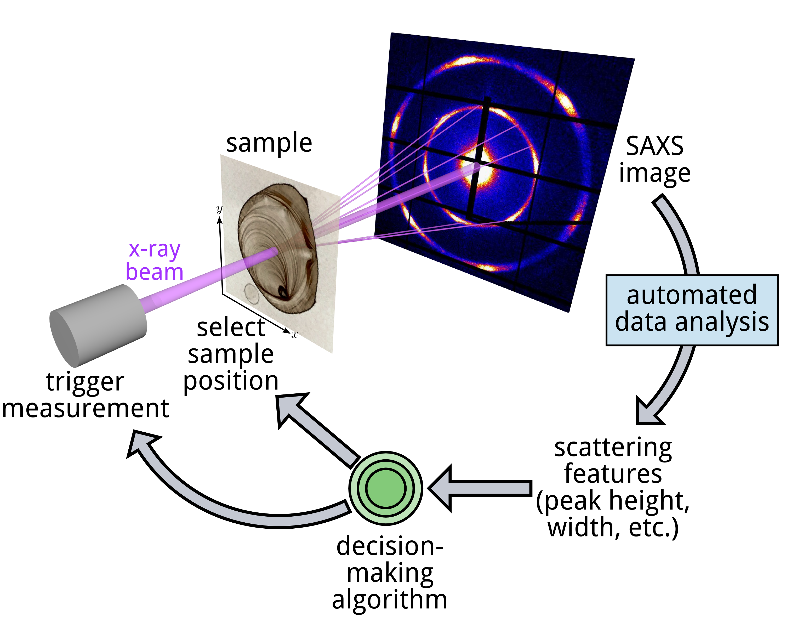 From Brookhaven National Lab:”Ten Years and Nearly a Billion Dollars: How  Project Management Made a Massive X-Ray Light Source Possible” –  sciencesprings