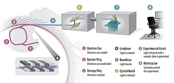 How the National Synchrotron Light Source II work