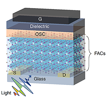 Schematic of phototransistor