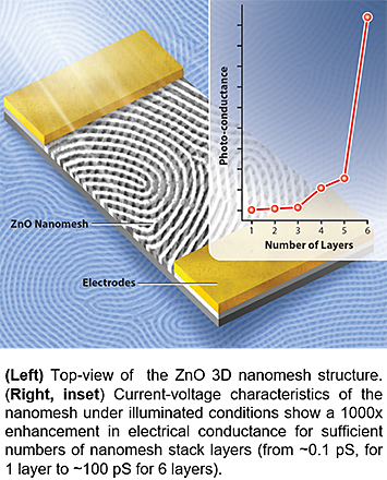 Top view of the ZnO #D nanomesh structure