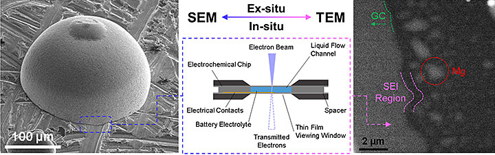 interaction between ex situ and in situ microscopy