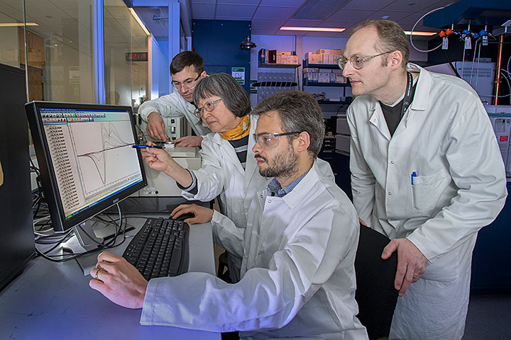 Photo of David Grills, Renato Sampaio, Etsuko Fujita, and Dmitry Polyansky