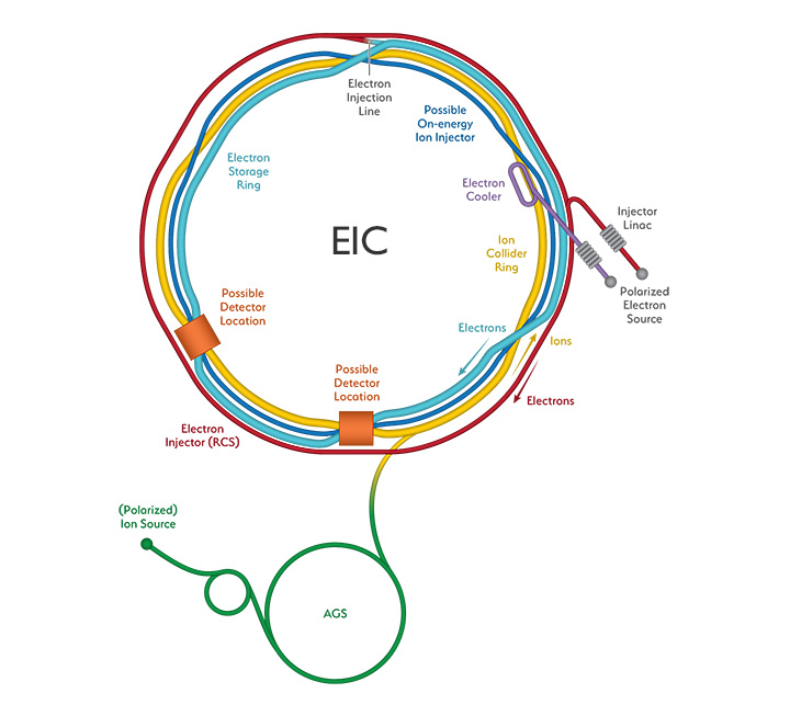 Schematic of the Electron Ion Collider