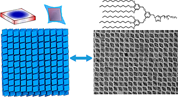 simulation and transmission electron microscope image