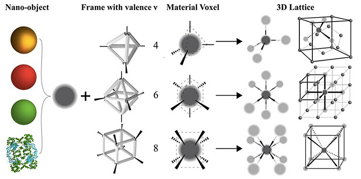 Schematic of the platform for assembling 3-D lattices