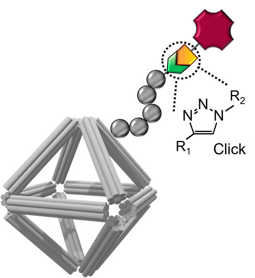 Schematic of a DNA origami