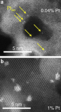 Scanning transmission electron microscope images