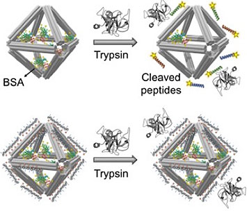 illustration showing DNA origam