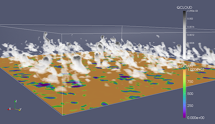 ARM-crafted simulation library called LASSO