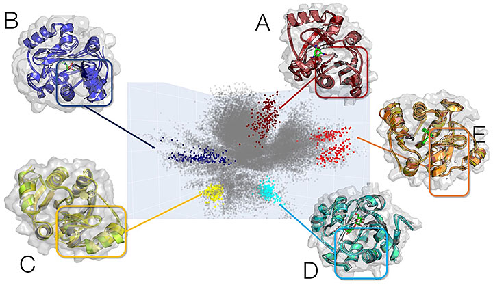 Ligands and protein