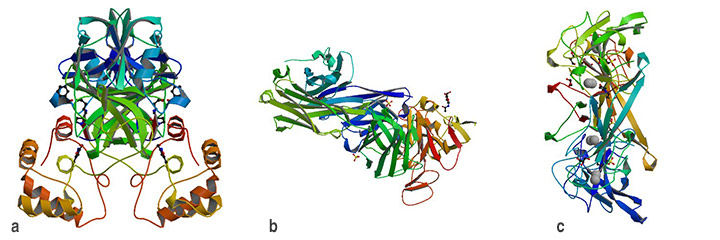 image of protein structures