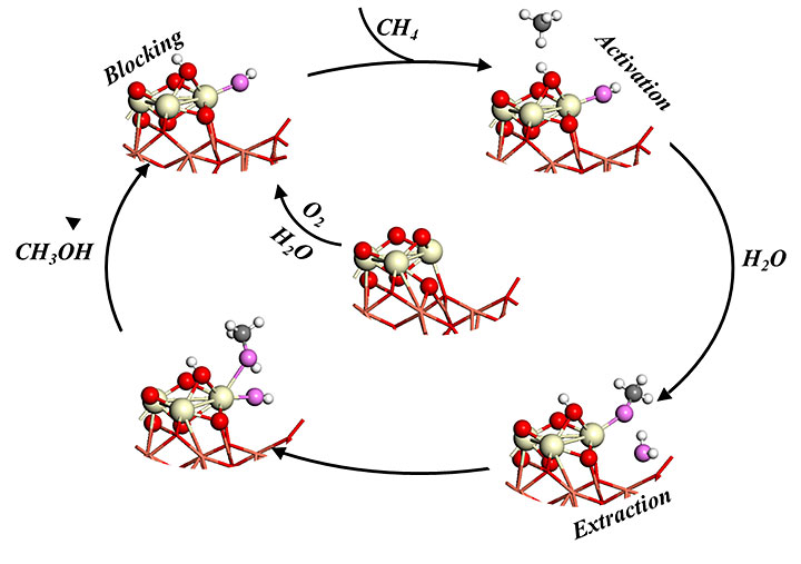 Catalytic cycle