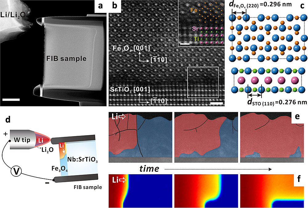 thin films on a niobium (Nb)-doped strontium titanate