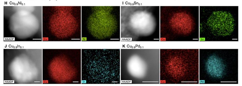 electron microscope images