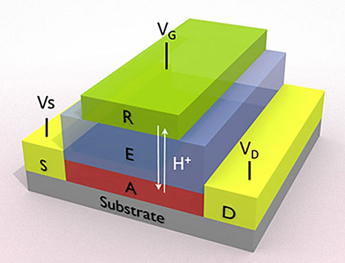 Diagram of simulated synapse