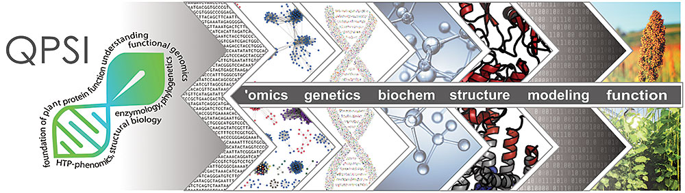 Quantitative Plant Science Initiative