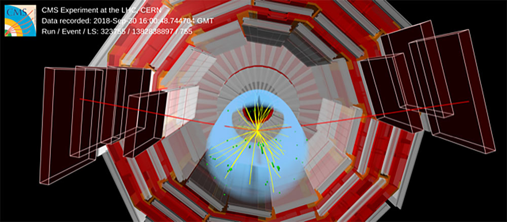 A candidate of a Higgs boson decay into two muons as recorded by CMS.