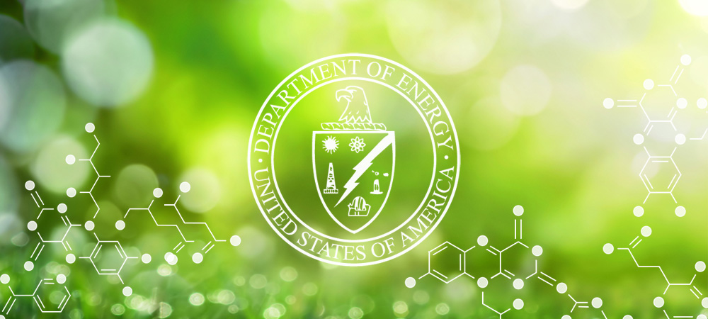 DOE logo image