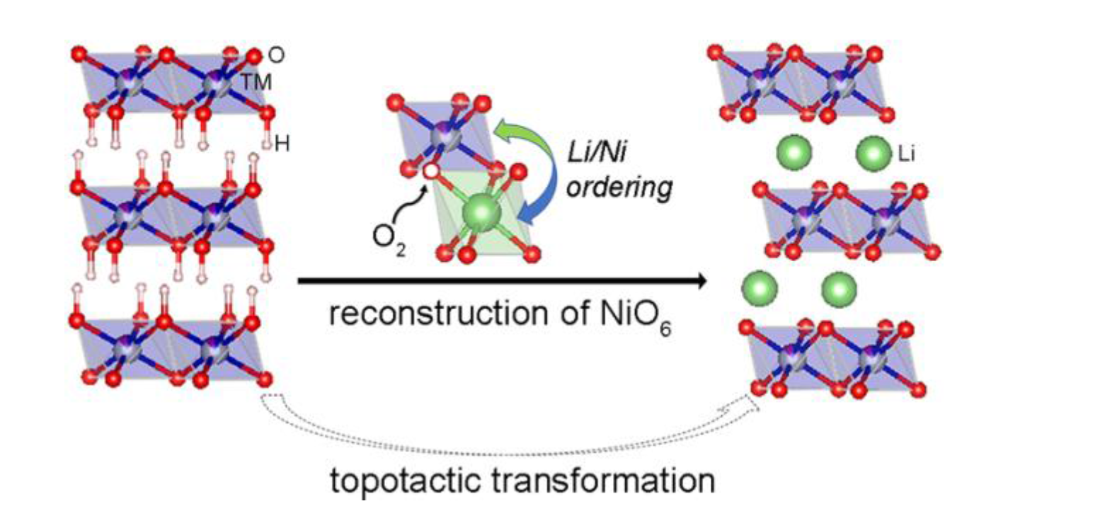 New Insights into the Synthesis Process of Layered Oxides | BNL Newsroom