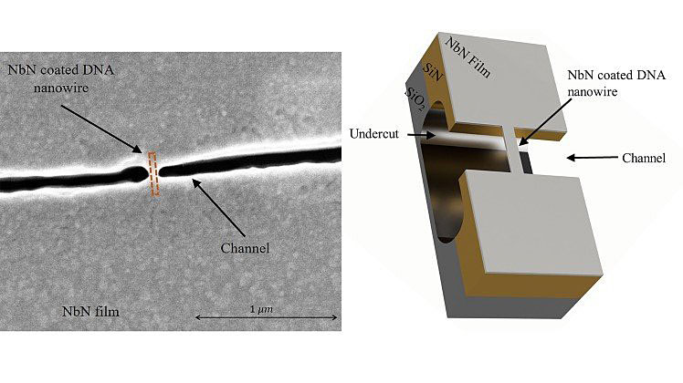 Schematic illustration