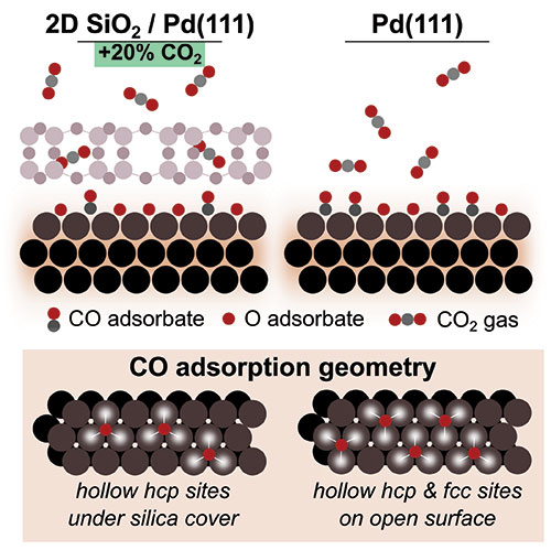 Schematic showing how oxidation of carbon monoxide (CO) on palladium (Pd) under a 2D microporous sil