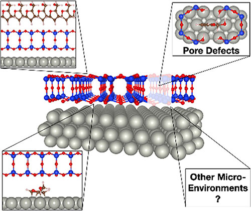 Illustration of the impact of bilayer silica on biomass conversion