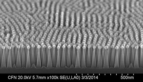 Scanning electron microscope image of the antireflective "nanocones"