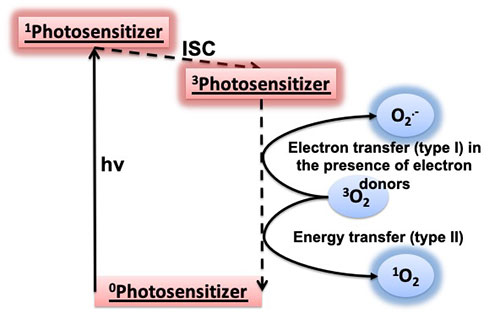 schematic