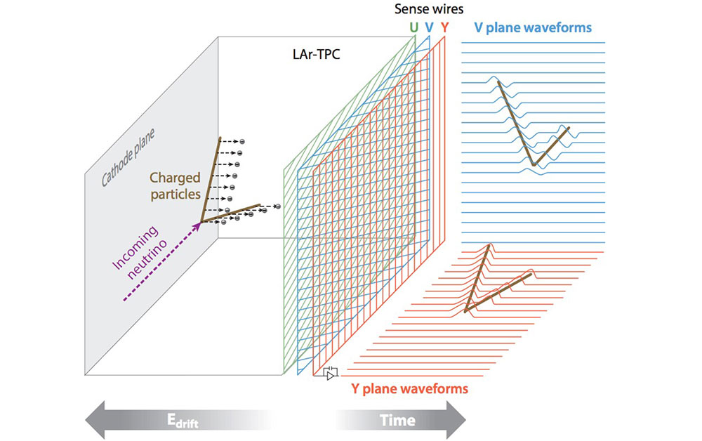 Schematic of neutrino interaction