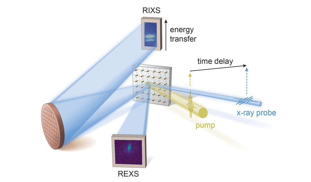 Schematic of the resonant inelastic x-ray scattering and resonant elastic x-ray scattering setups
