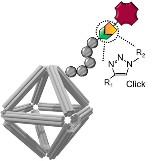 illustration of coating for the octahedral-shaped DNA origami