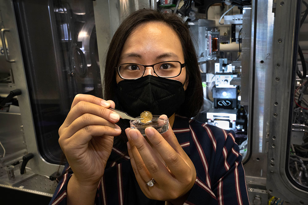 Photo of Esther Tsai lifting a brachiopod shell out of a petri dish filled with water