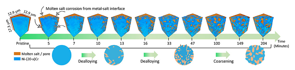 Illustration shows how molten salt over time removes metallic material (blue) from the sample in 3D