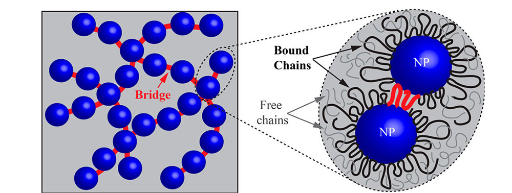 Illustration of nanoparticle structure