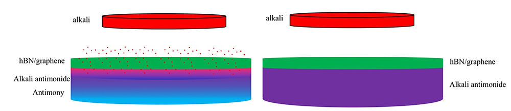 A conceptual representation of the encapsulation and growth process through alkali intercalation