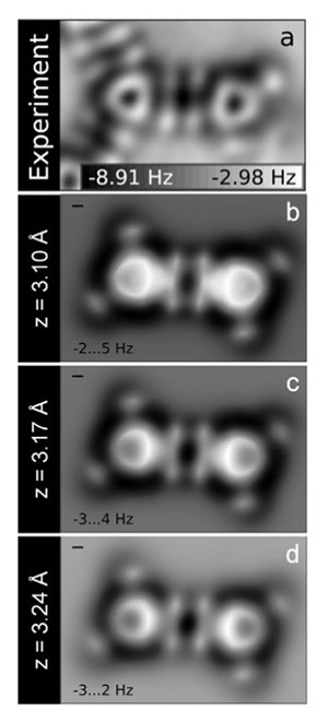 comparison between experimental and simulated AFM images of two hydrogen-bonded TMA molecules