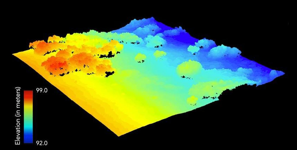 Three-dimensional rendering of surface elevation and structure of an Arctic vegetation canopy from t