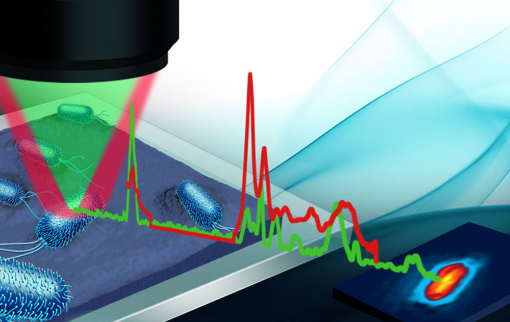 Illustration of optical photothermal infrared (IR) spectroscopy