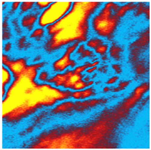 mIRage-acquired image showing how the drug dexamethasone is distributed in a polymer matrix