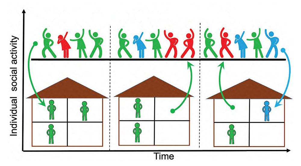 Individual social activity vs. time
