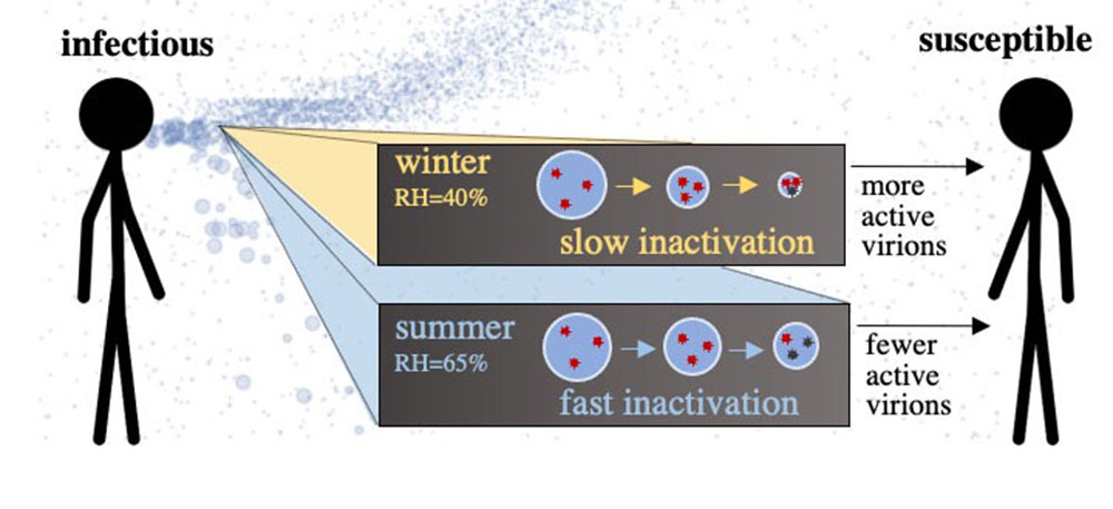 Graphical abstract