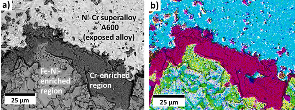 Scanning electron microscope images