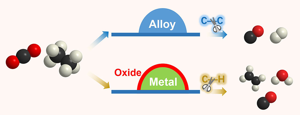 Schematicshows two possible reaction pathways for carbon dioxide with ethane oxygen is red, hydrogen