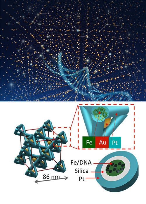 3D assembly and visualization of DNA-guided nanoparticles and frameworks