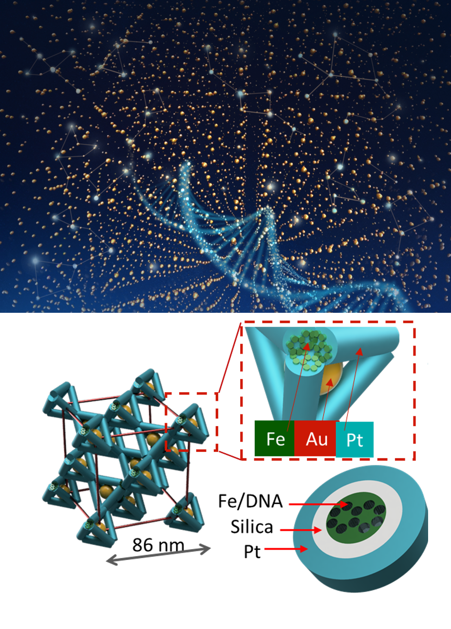 Visualizing The Internal Structure And Defects In 3D Self assembled Visualizing The Internal Structure And Defects In 3D Self assembled