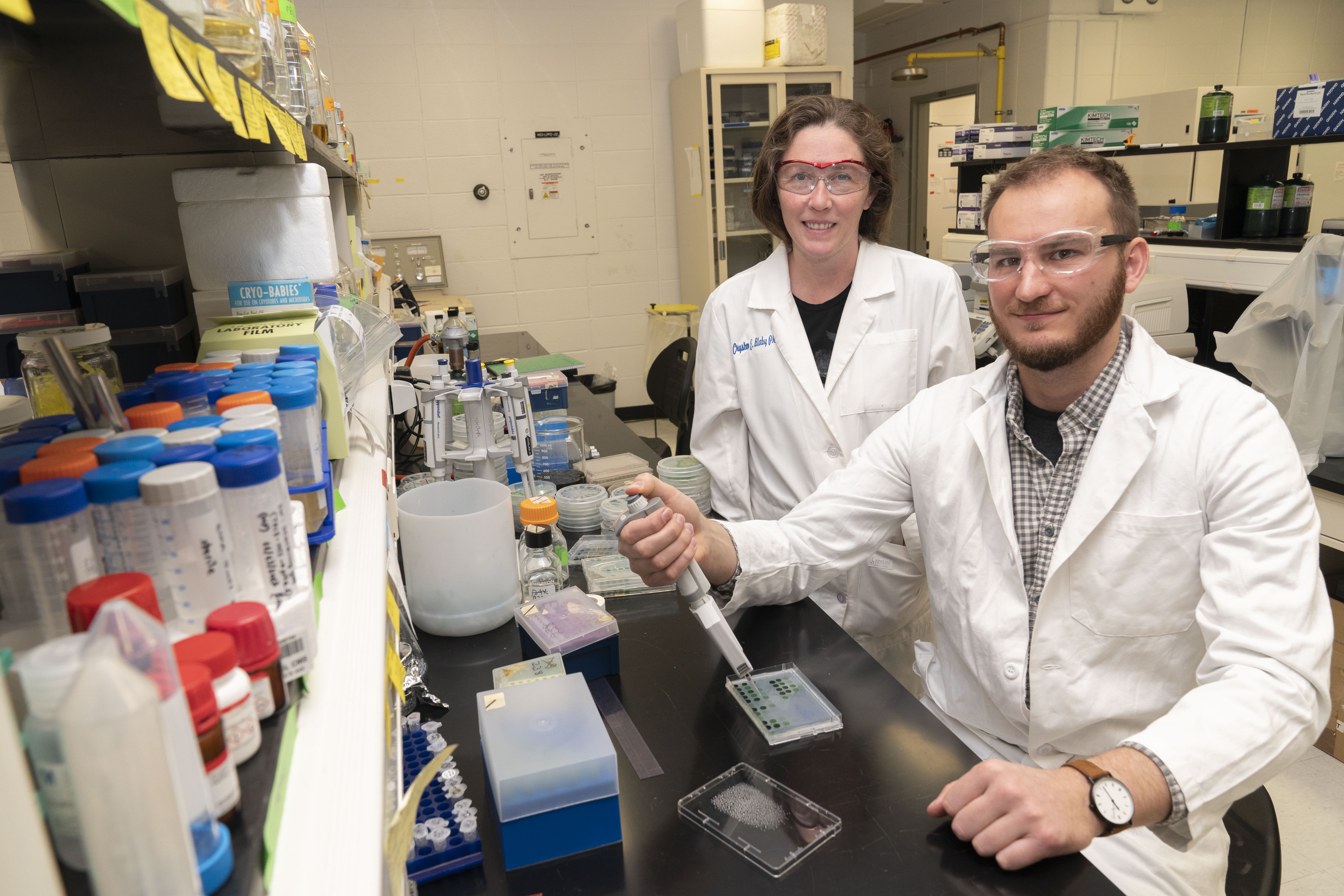 Brookhaven Lab biologist Crysten Blaby and postdoctoral fellow Nicolas Grosjean and colleagues ran genetics experiments, biochemical assays, and computational modeling studies that identified ZNG1 as a zinc chaperone protein