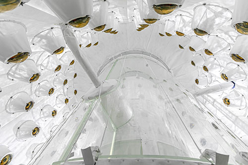 Photo of LZ Outer Detector