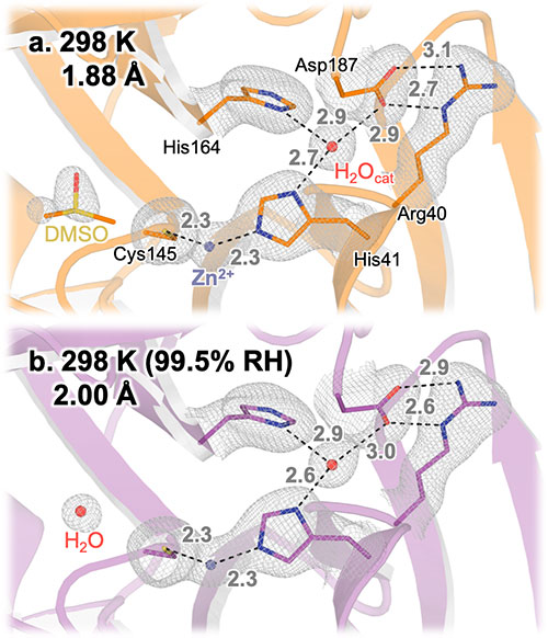 Mpro active site